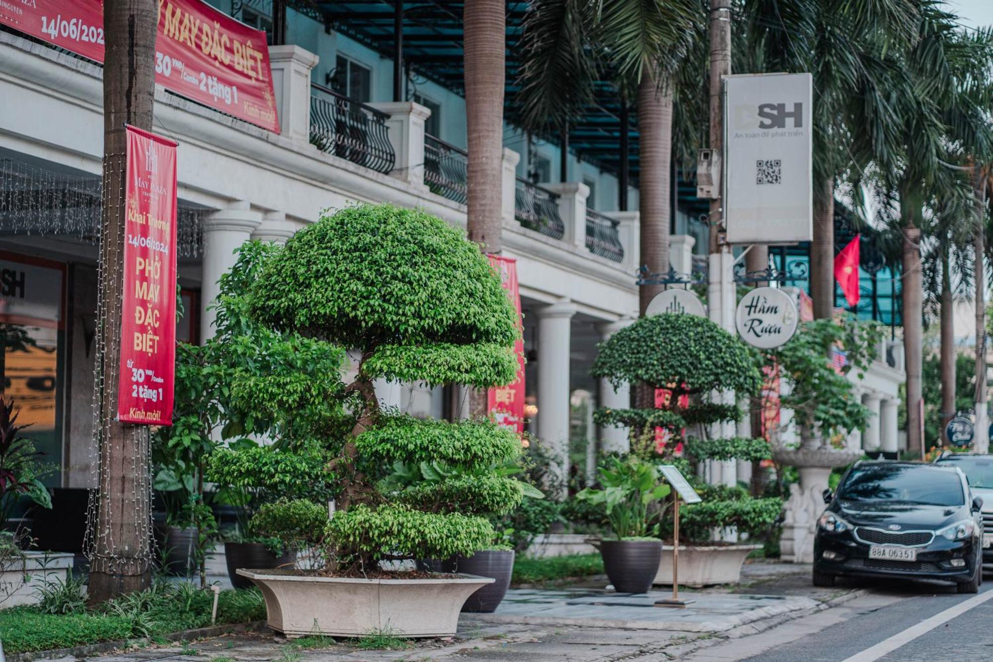 May Plaza Hotel Thái Nguyên Exteriér fotografie